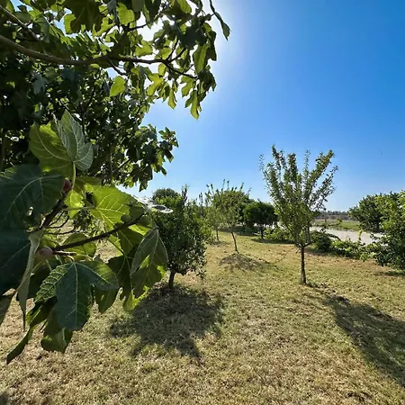 Masseria Lu Monaco Farma