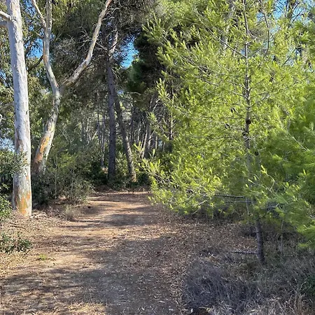 农家乐 Masseria Lu Monaco 梅伦杜尼奥