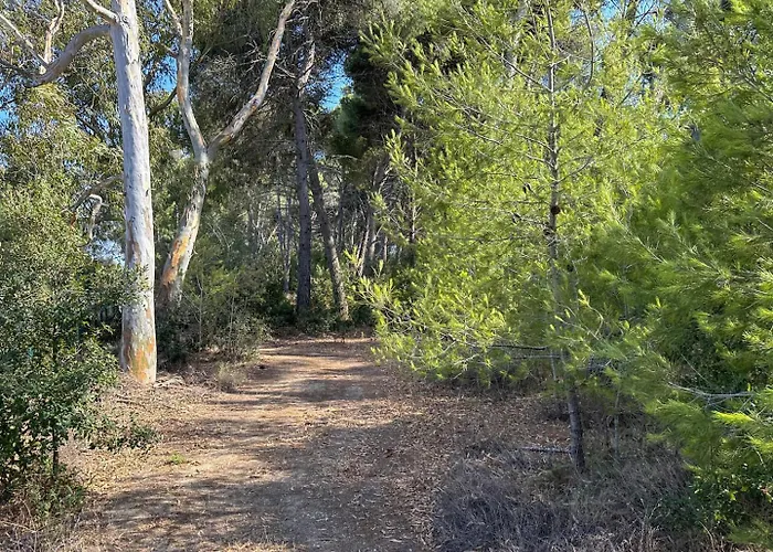 팜스테이 Masseria Lu Monaco 멜렌두뇨