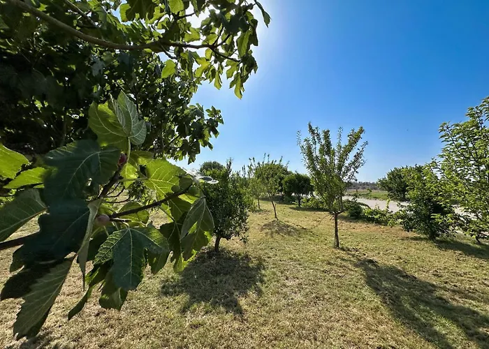 Masseria Lu Monaco Feriegård